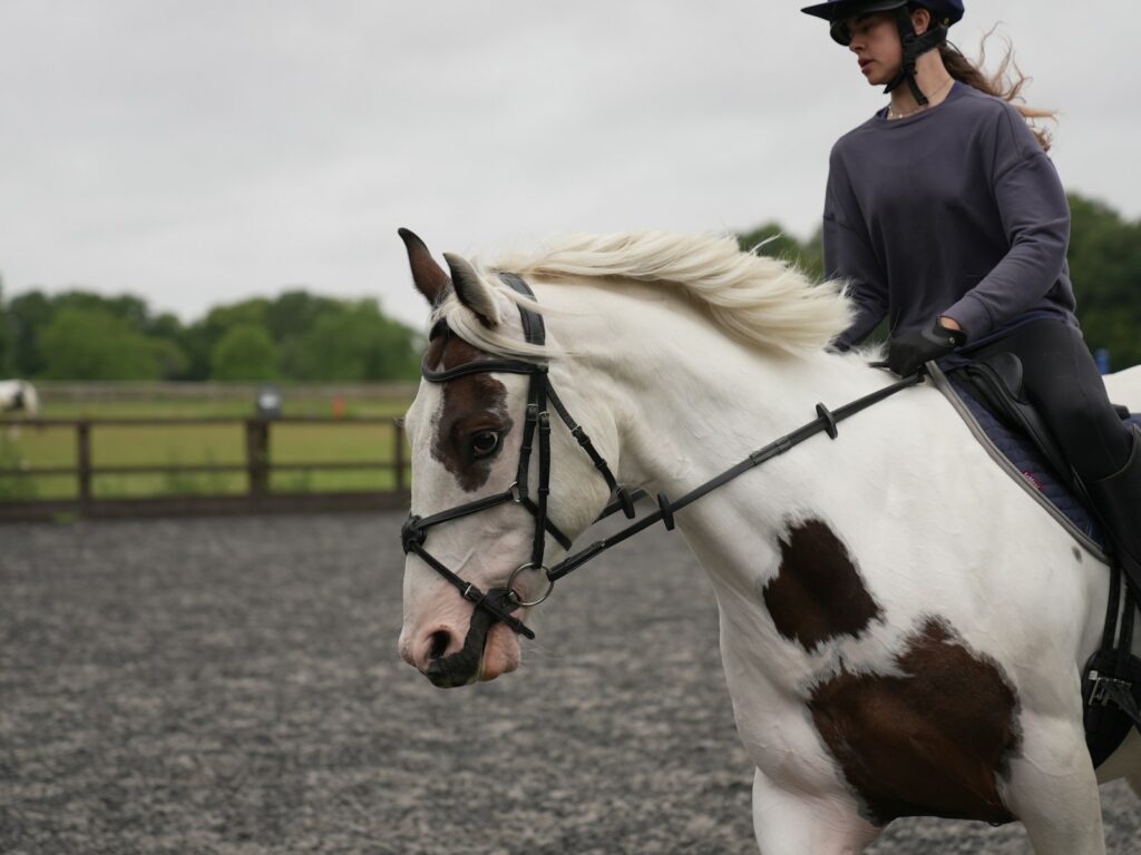 Woman riding on the back of a horse