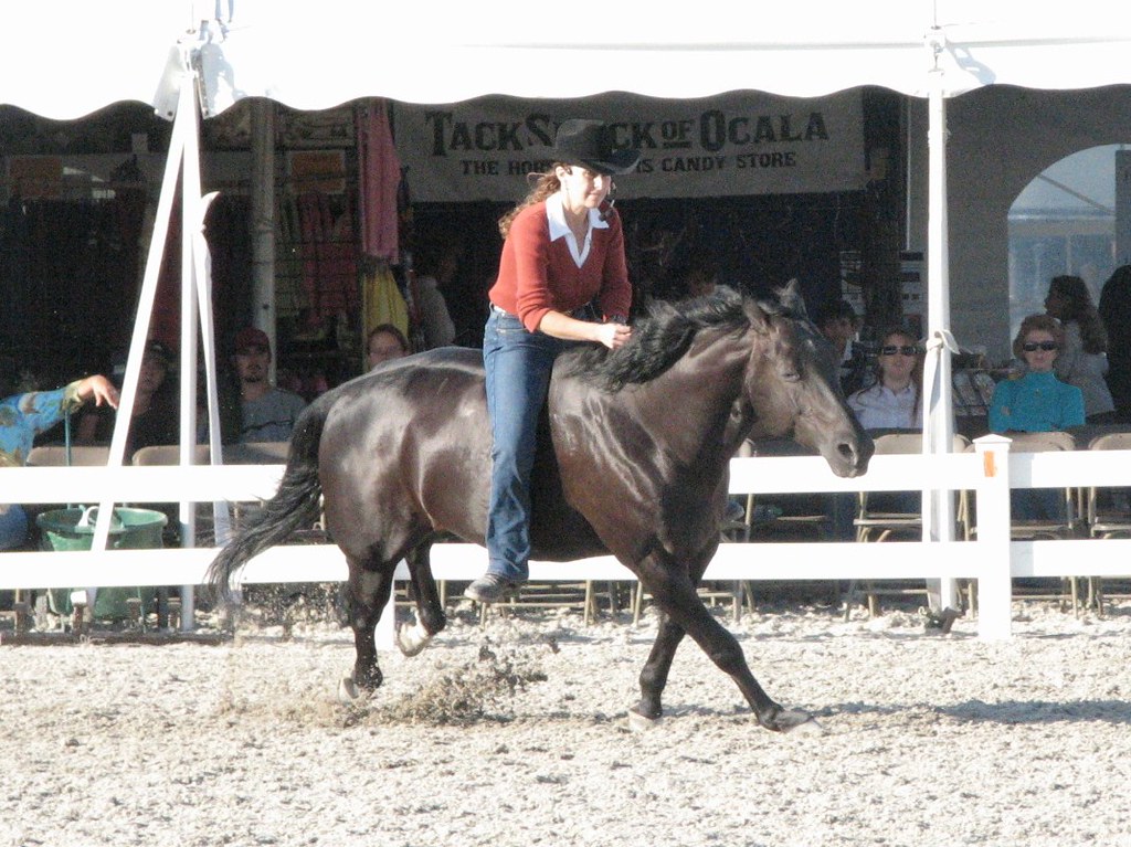 Woman riding a bridleless horse