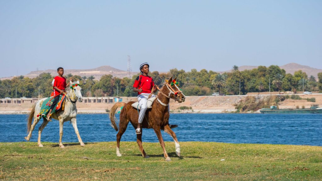 two men playing game with horses