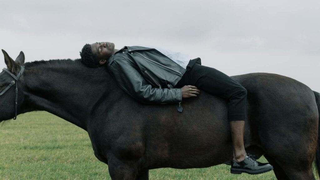 A man lies on a black horse in a green field