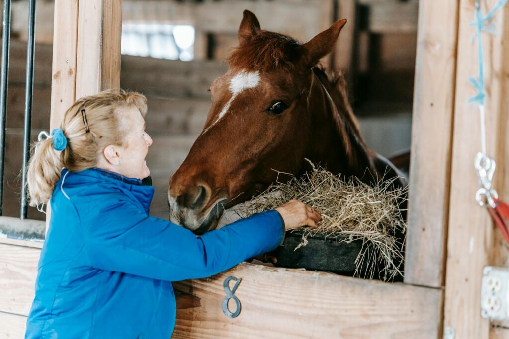 Woman in a blue jacket feeds hay to a brown horse inside a stable.