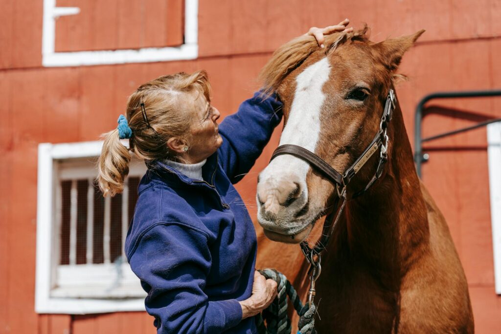 Woman petting a horse outside the barn