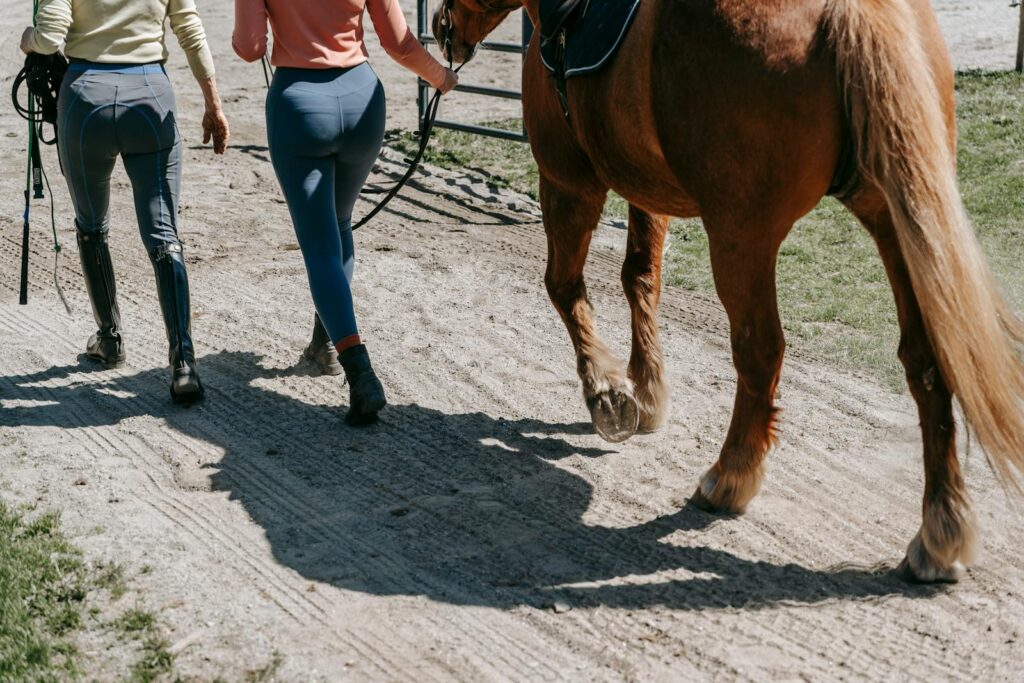 Two women walk alongside a horse on a sunny day