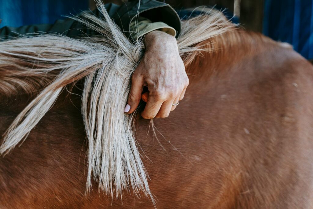 A detailed capture of a hand holding the mane of a brown horse, showing texture and connection.