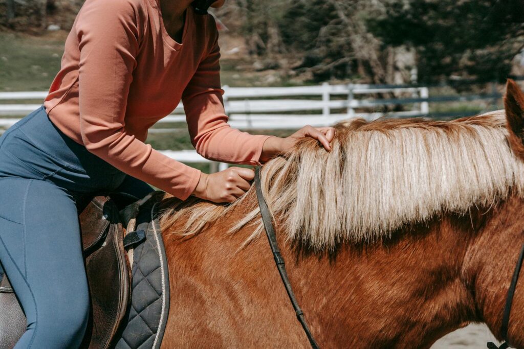 Woman in casual attire riding a horse in a sunny day