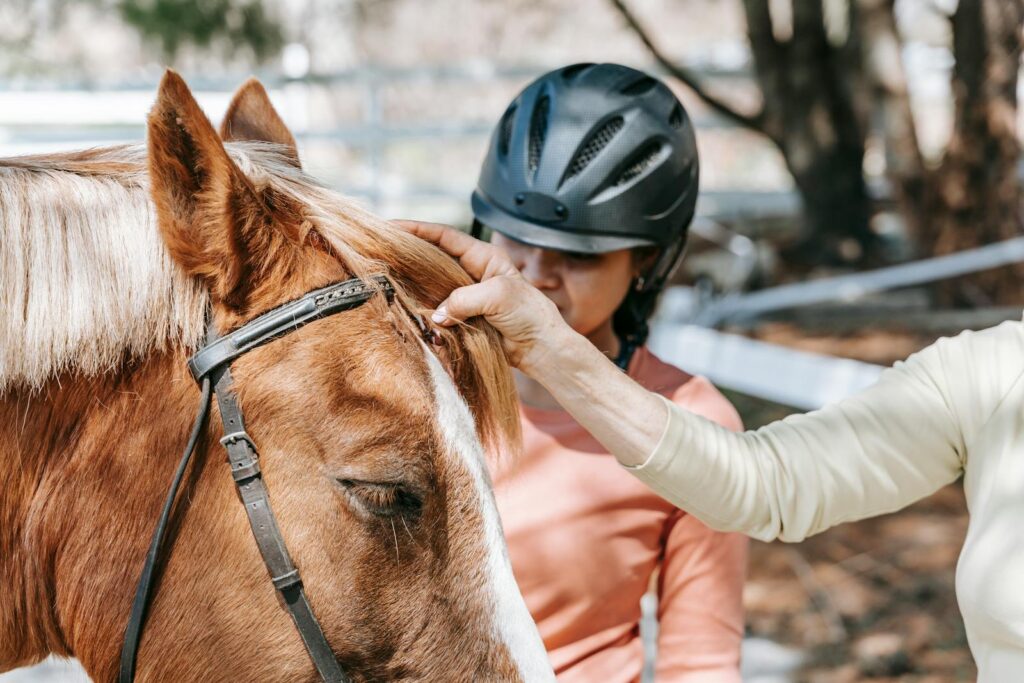 Woman grooms her horse outdoors