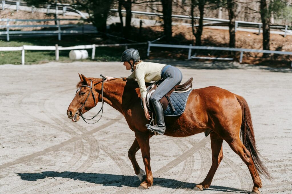 Equestrian riding a horse