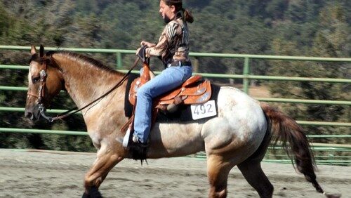 A woman is ridding on goden and white horse