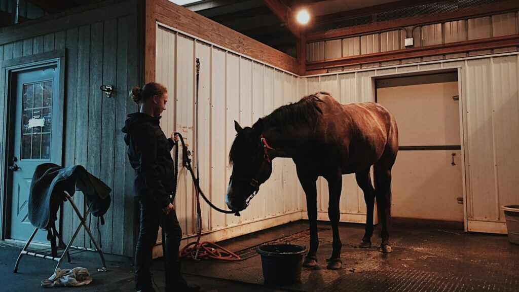 man standing in front of horse