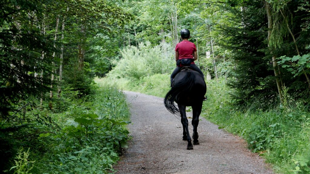 man in red jacket riding black horse on road during daytime