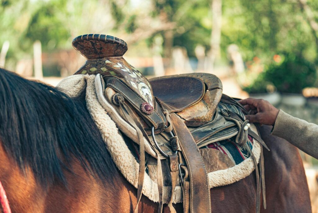 Detailed view of a well-worn saddle on a horse
