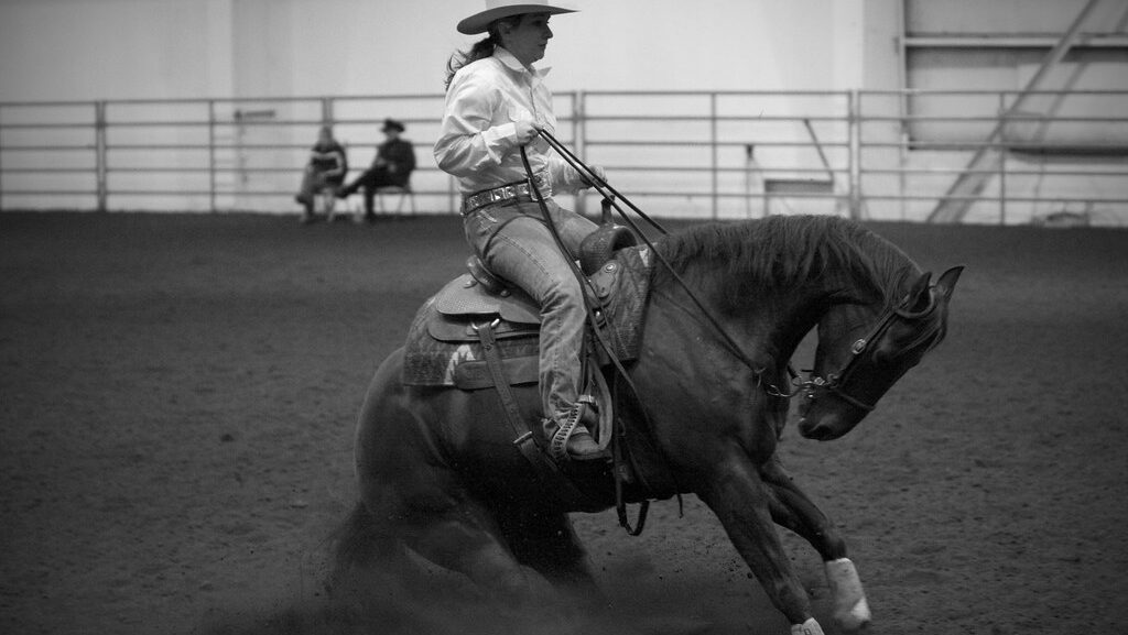 Reining Horse Sliding Stop