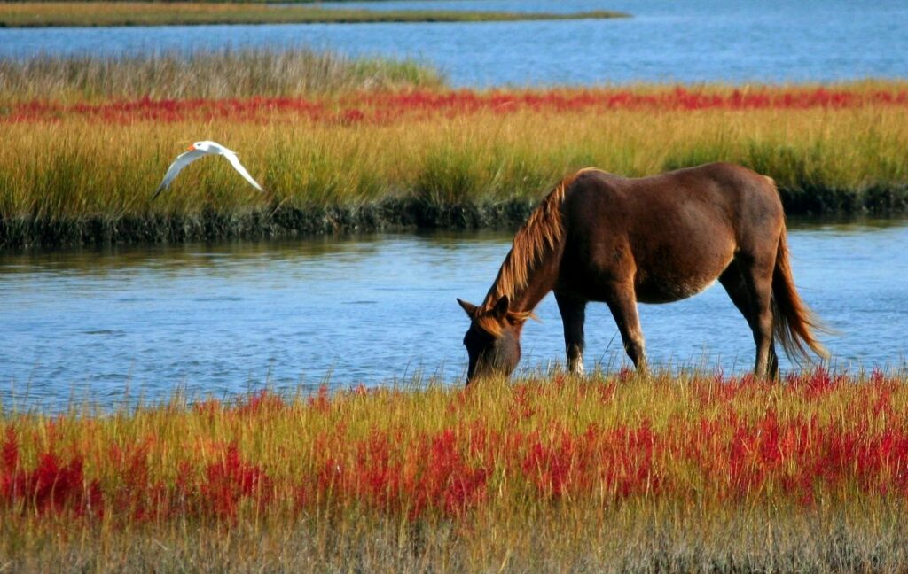 A horse grazes near a colorful riverbank, with a bird flying overhead, showcasing nature's beauty.
