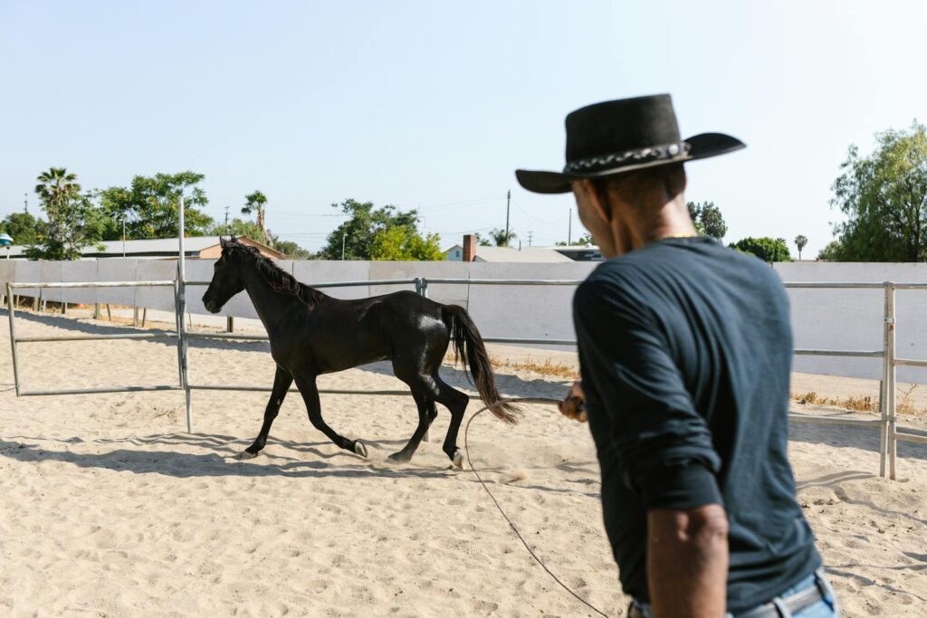 A cowboy in a hat guiding a black horse