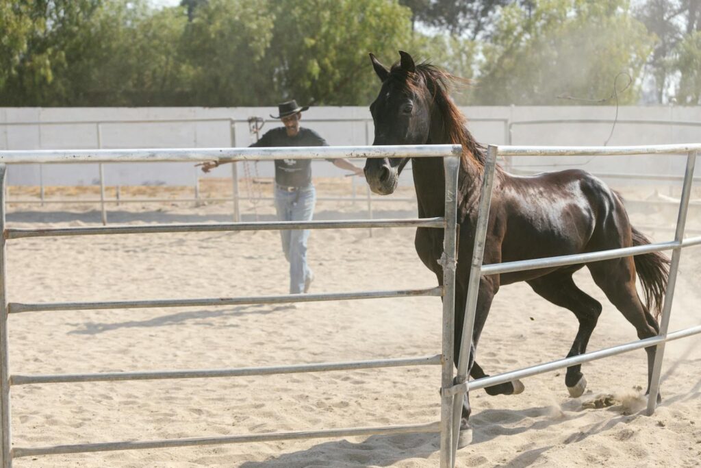 Cowboy training a horse outdoors