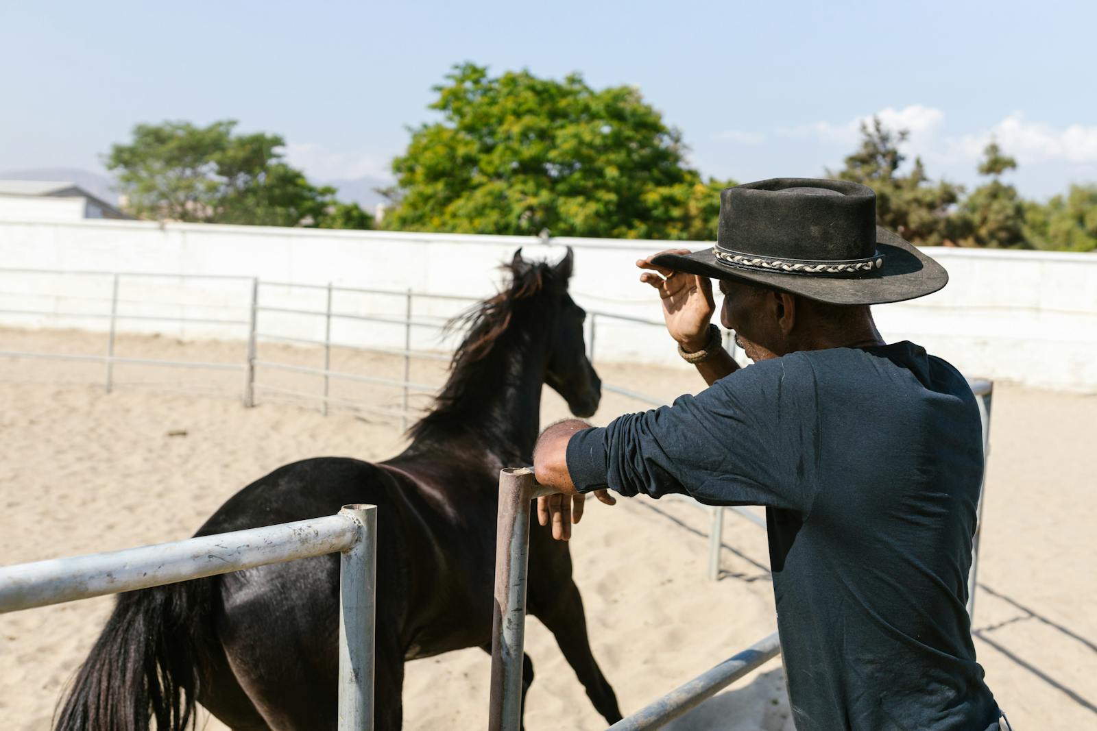 Man with a cowboy hat watches a black horse in a round pen