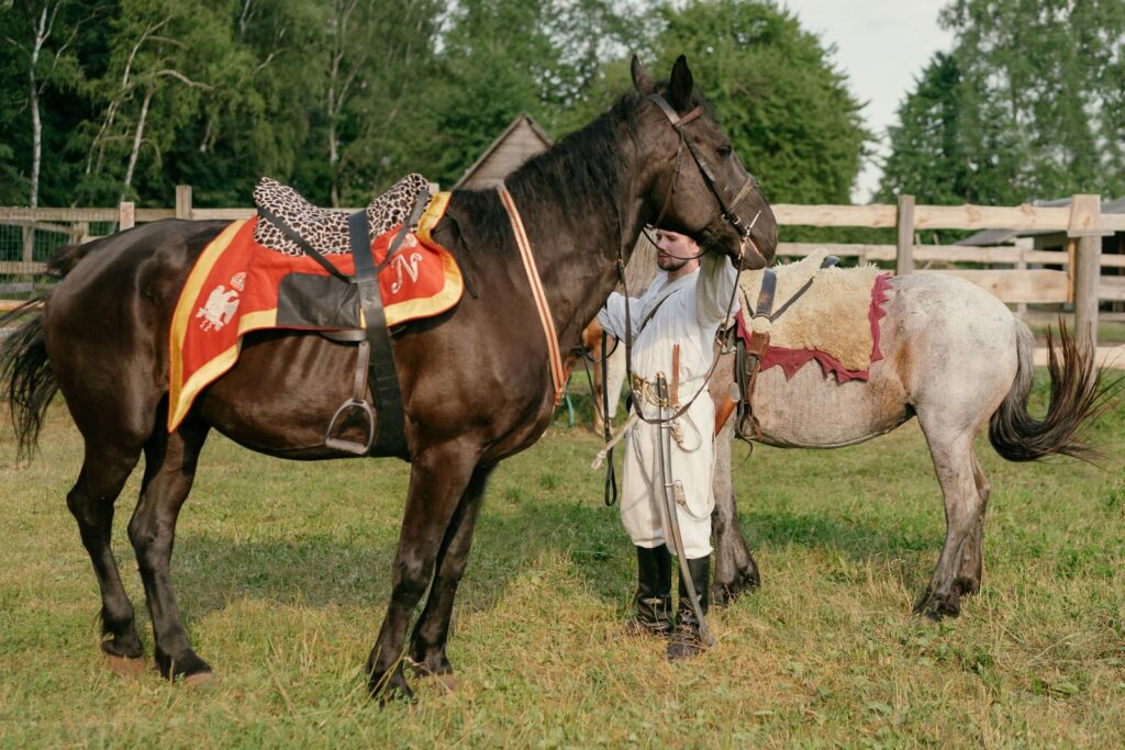 A soldier in historical attire with horses showcasing medieval equestrian gear
