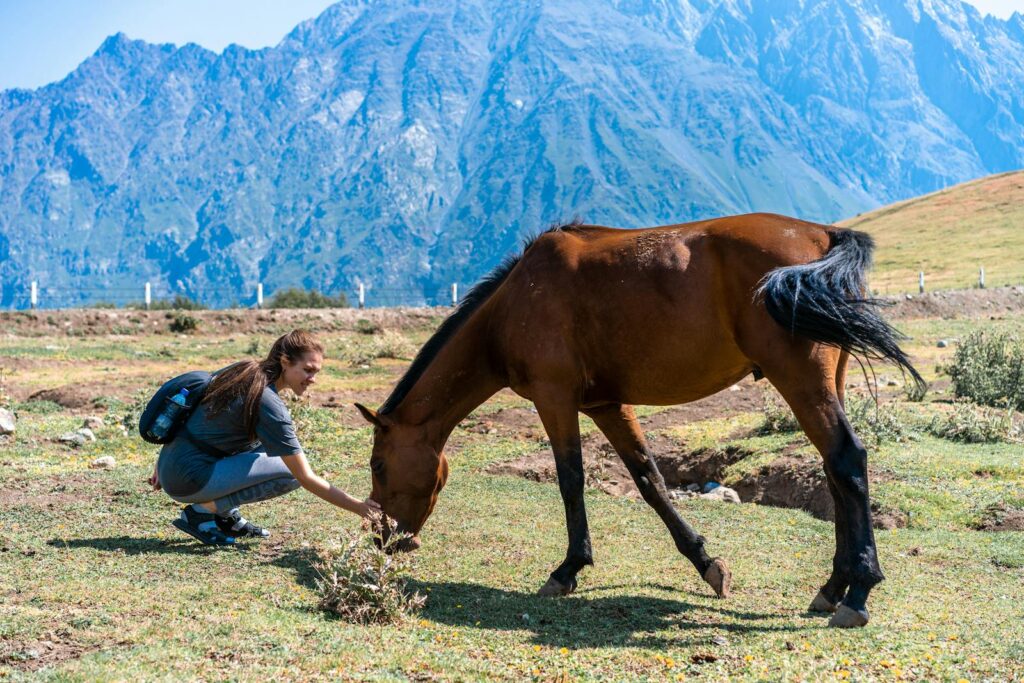A woman kneels to feed a horse in the scenic mountains of Stepantsminda, Georgia.