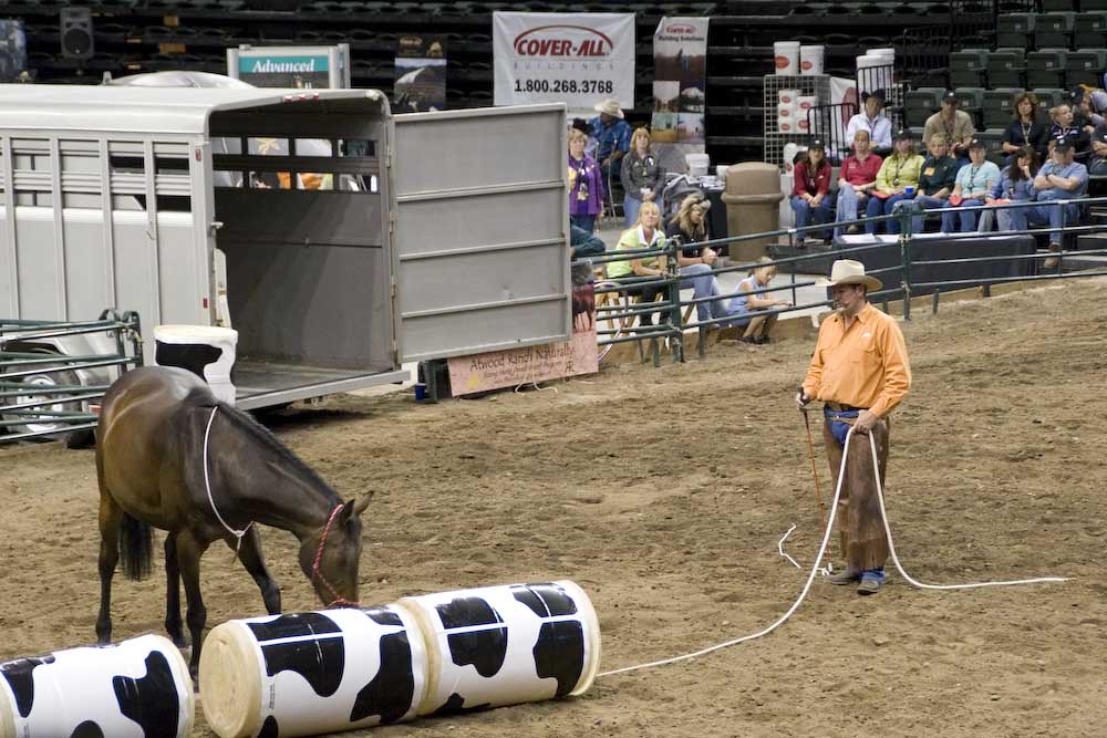 Horse training show