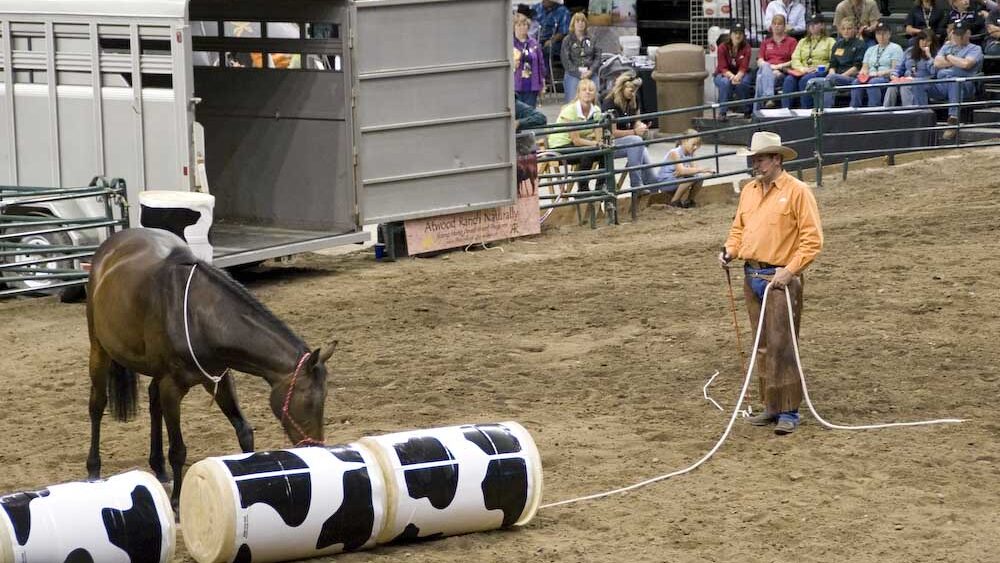 A man is training the horse