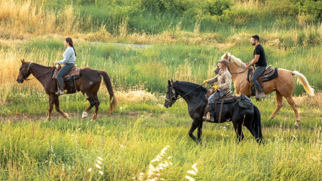 Riding in the field