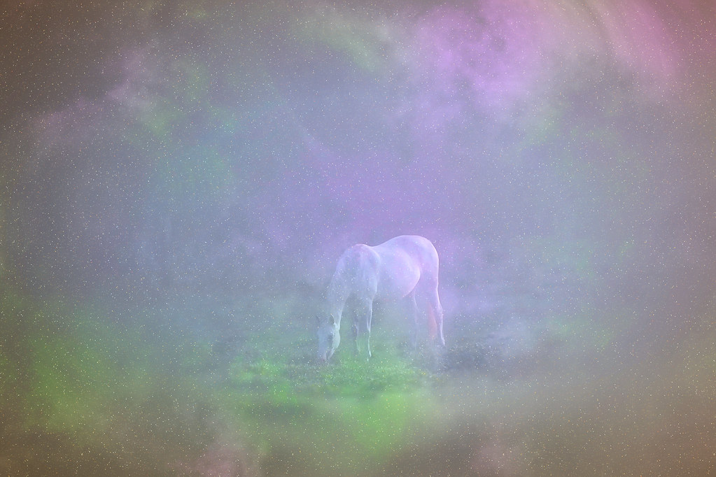 Mystical Horse