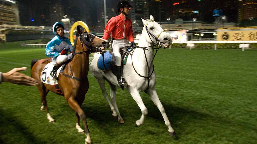 two people ridding on two horses in grass