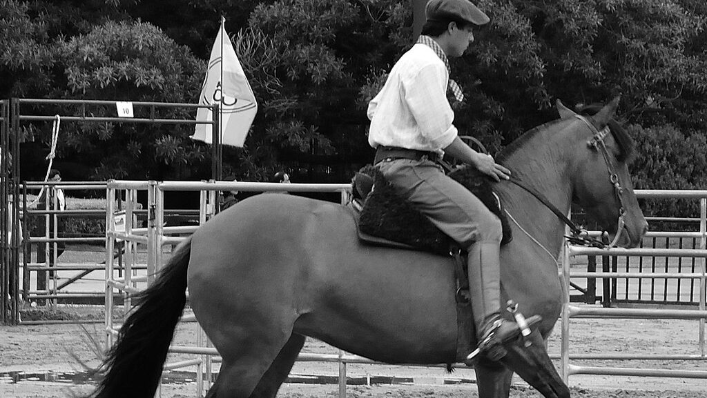 A man on the brown horse in the field
