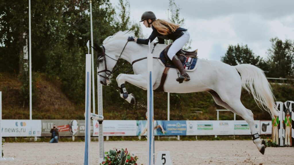 man riding white horse during daytime