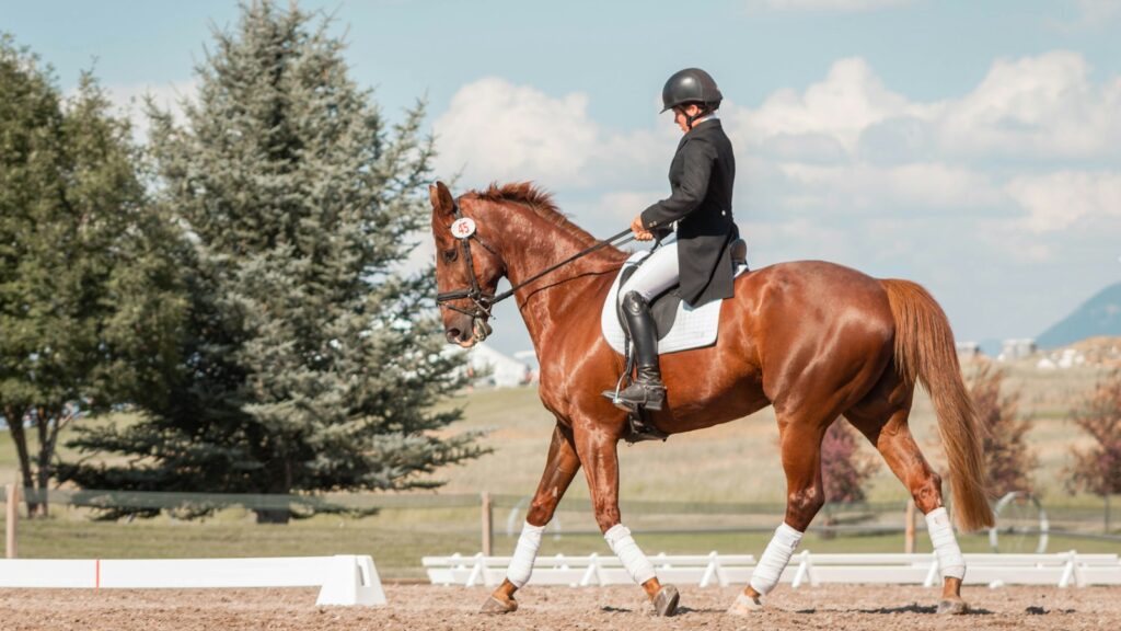 man in black helmet riding brown horse during daytime