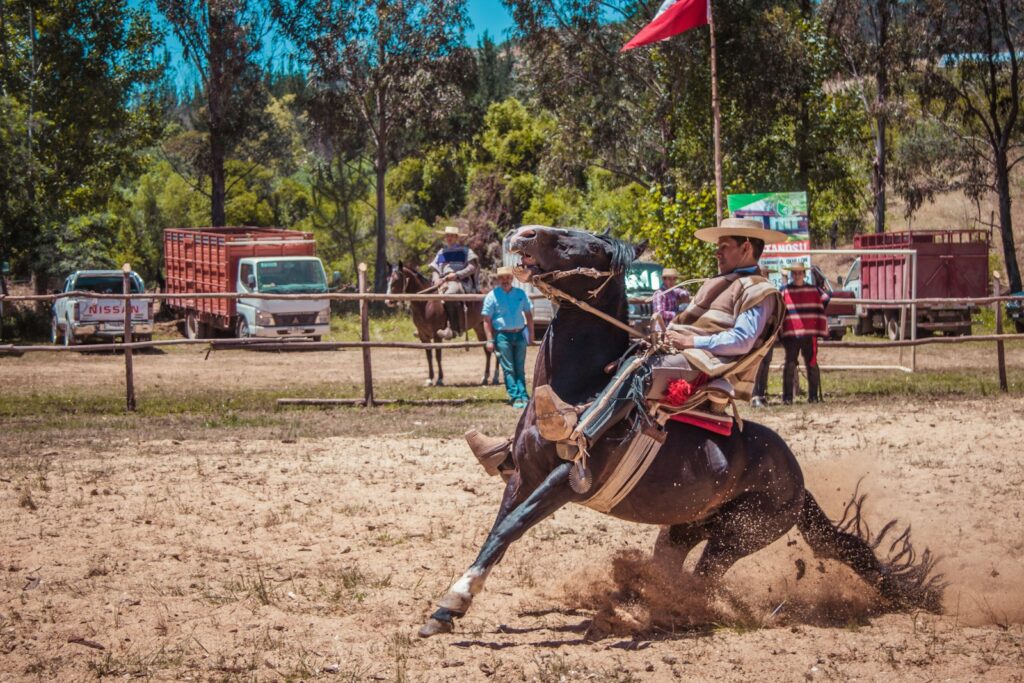 Man riding horse