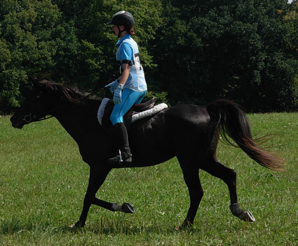 Using Polar Equine in endurance