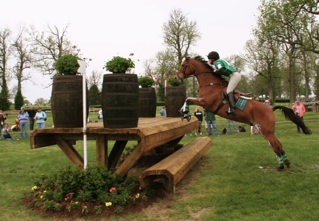 A Thoroughbred competing in eventing