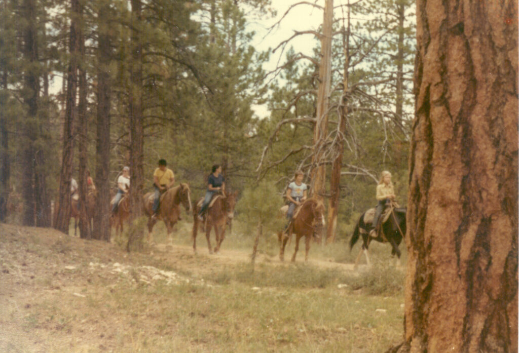 Trail Ride 