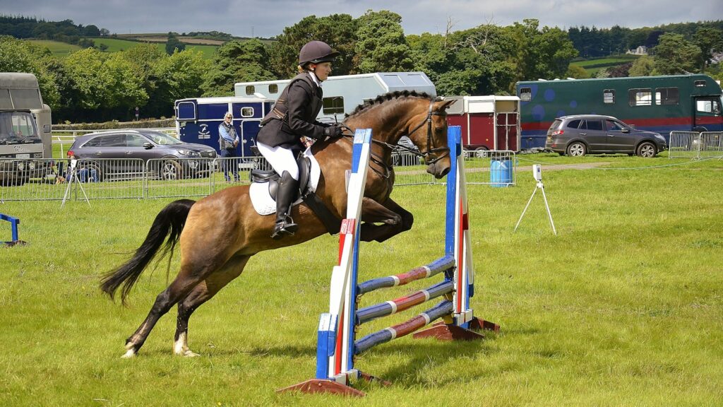 person doing polo sport