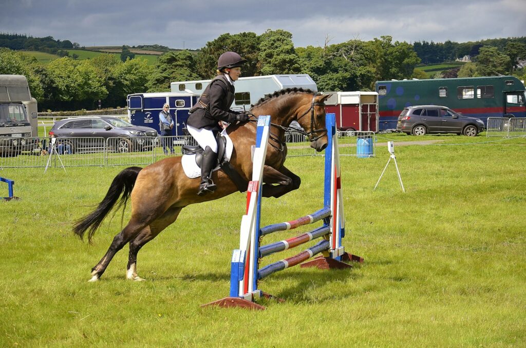 Person training its horse