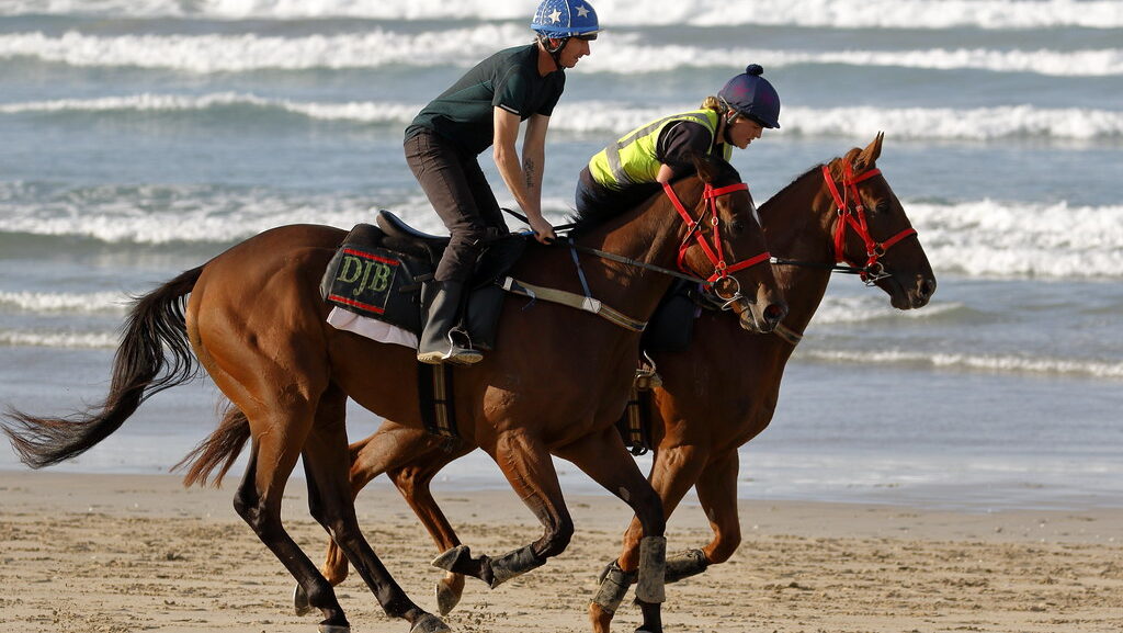 Two horse riders ride on the beach