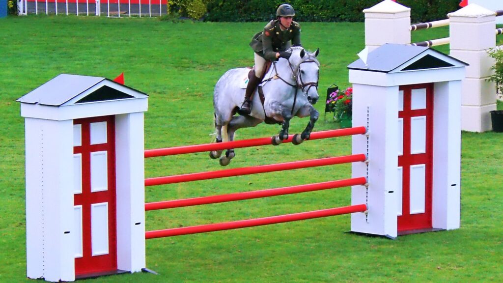 person ringing white horse during daytime