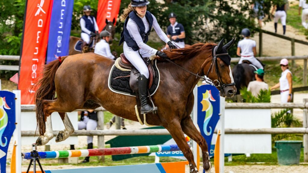 woman in blue and white long sleeve shirt riding brown horse during daytime