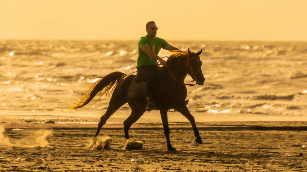 a man riding a horse on the beach