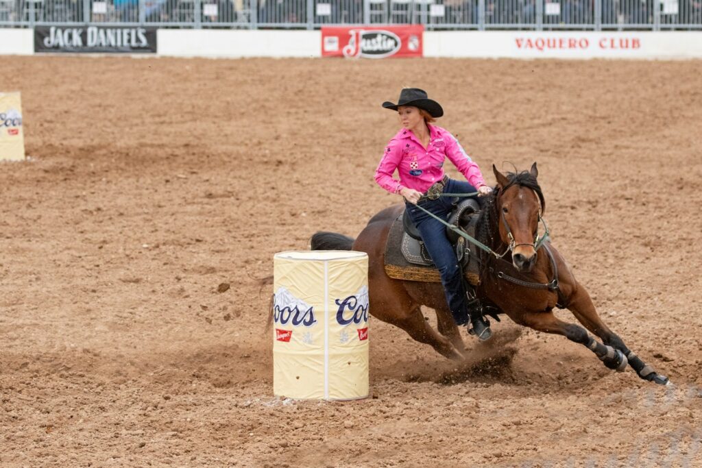 woman in pink shirt riding brown horse during daytime