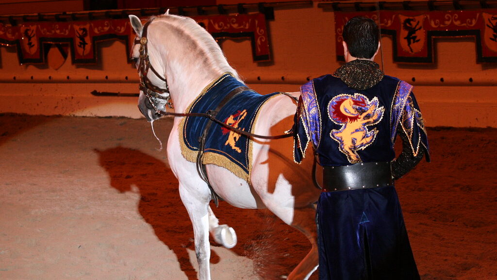 a white horse with a ranch