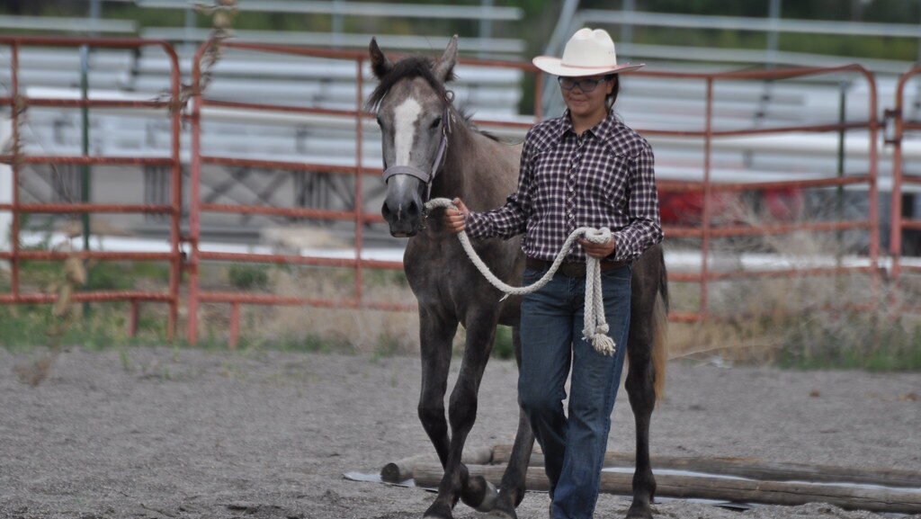 Wild Horse and a woman walk in the field
