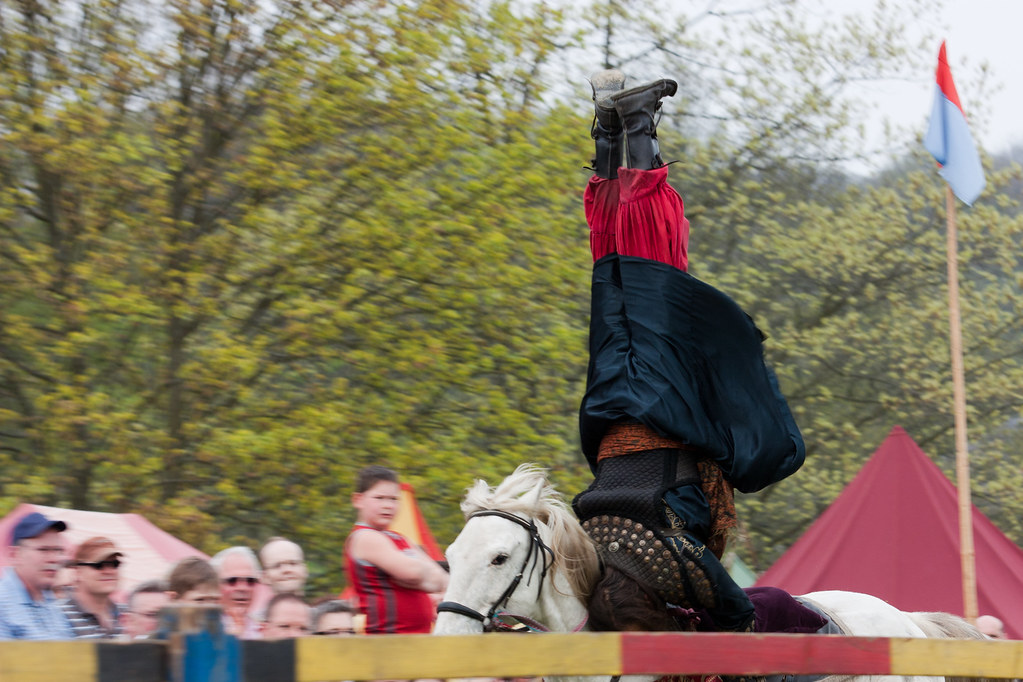 Horse tricks show