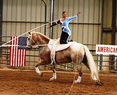Equestrian vaulting