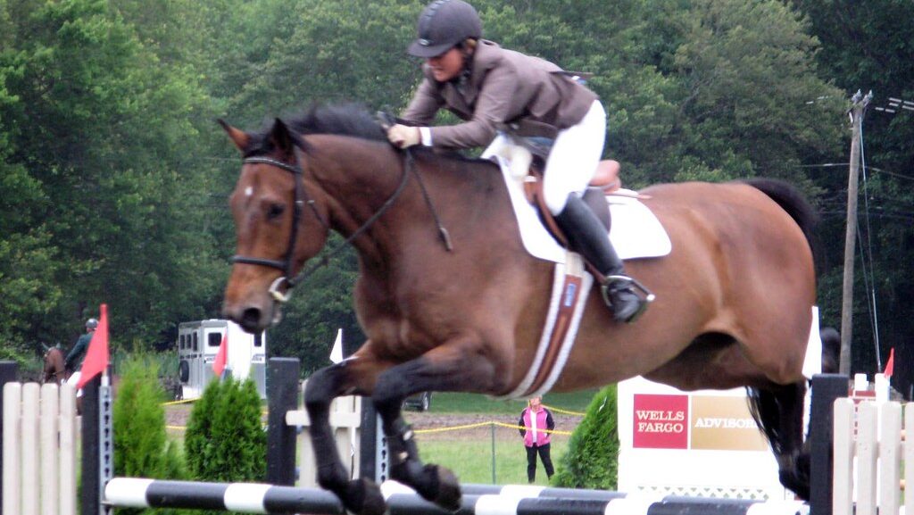 A horse and rider participating in a show jumping event