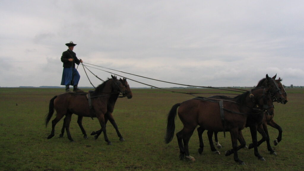 A man doing trick on the back of horses