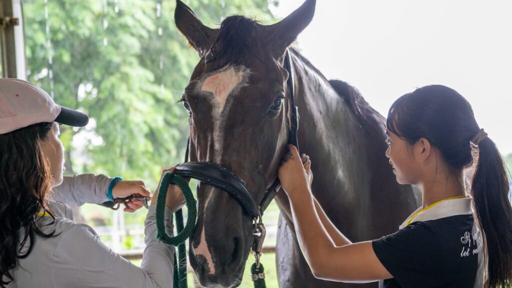 A woman standing next to a brown horse