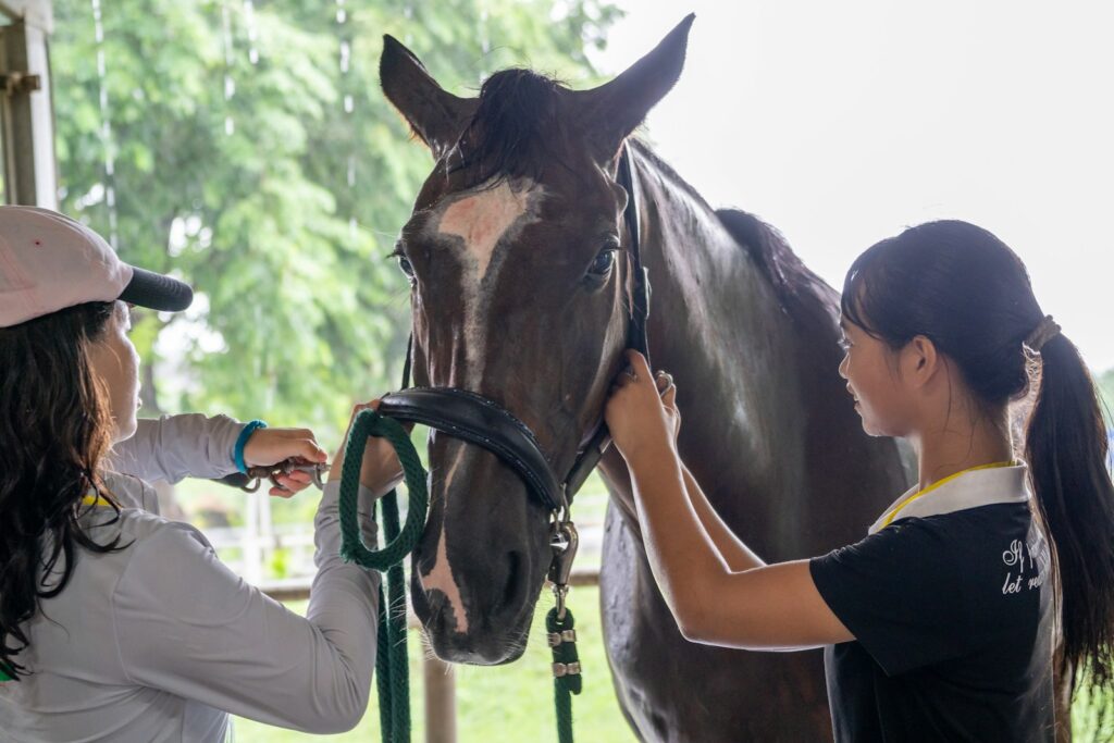 A woman standing next to a brown horse
