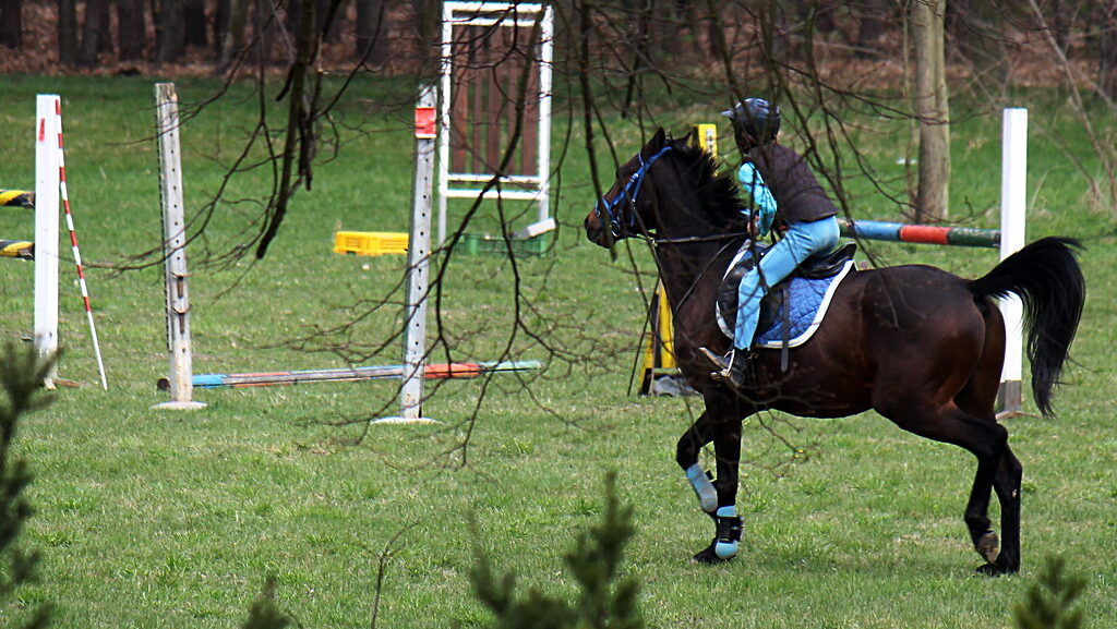 a man riding horsein green field